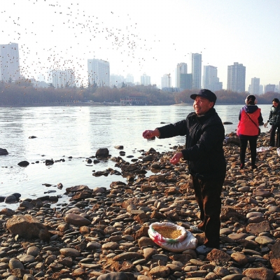 2600斤“冬糧”投喂候鳥(niǎo) 在蘭鳥(niǎo)群越冬有保障