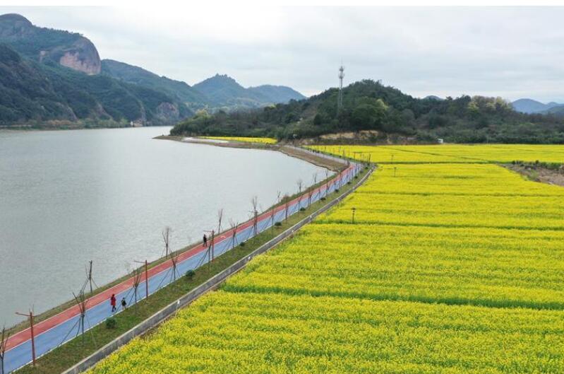 油菜花開布谷湖