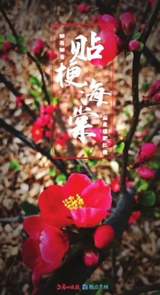 來(lái)，跟這些美美的花朵認(rèn)識(shí)一下！