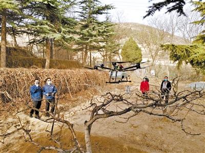 隴南市西和縣大橋鎮(zhèn)：無人機灑藥除蟲助力“春耕”