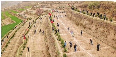 駐峰機關(guān)單位干部職工赴毛寺村開展義務植樹活動