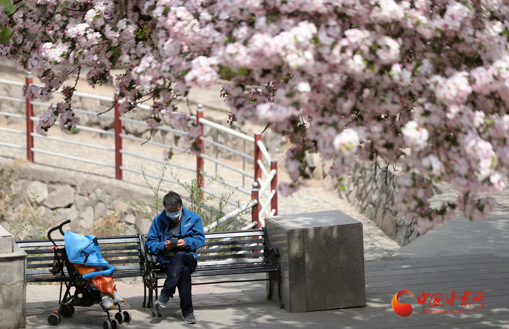 蘭州已有17家景區(qū)恢復開放