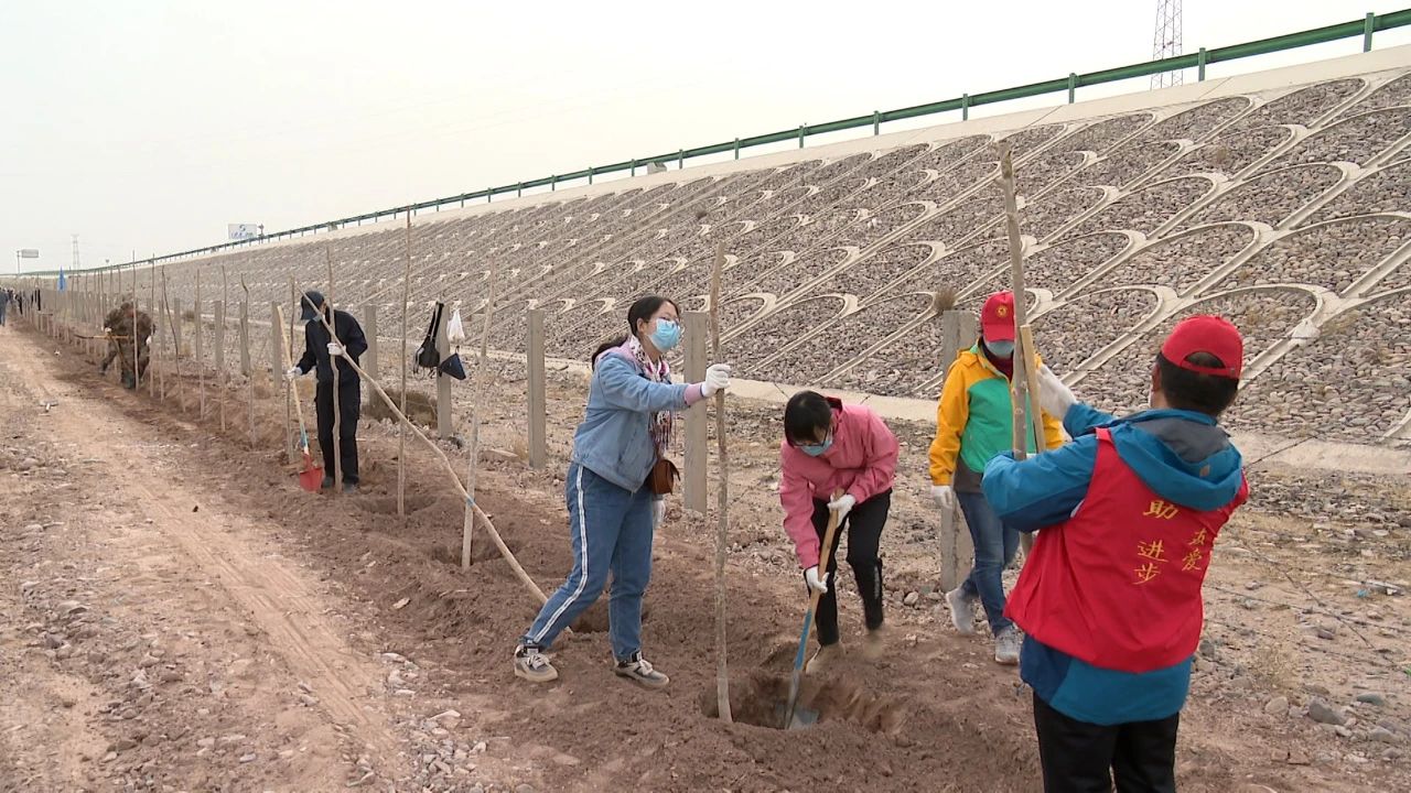 金昌市黨政軍領導與千名干部職工部隊官兵一同植樹 張永霞楊建武王富民等參加