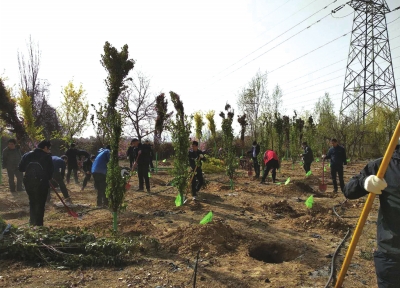 蘭州：南北兩山開展春季綠化補植補栽工作 42萬余株苗木有了“新主人”