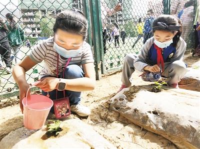 校園新鮮事丨校園小農(nóng)場 我勞動(dòng)我光榮