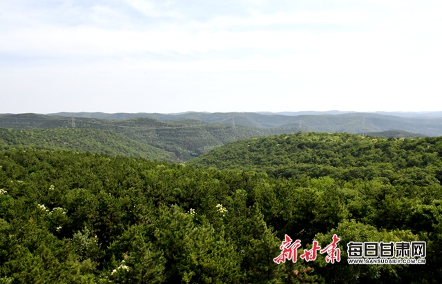 【甘肅生態(tài)環(huán)保媒體行】子午嶺深處，一家三代人用生命守護黃土高原的“天然生態(tài)屏障”