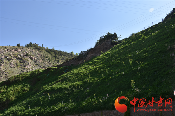 厚植綠色沃土 筑牢生態(tài)屏障——九州臺片區(qū)水土保持綜合試點項目顯成效