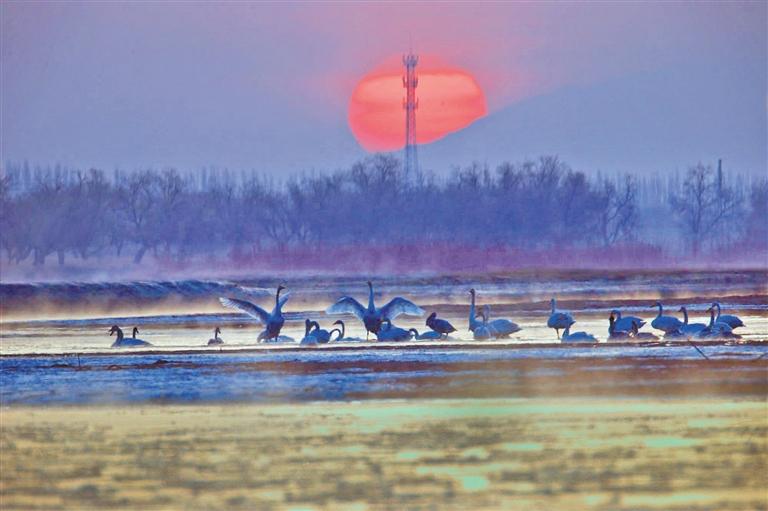 在高臺(tái)遇見(jiàn)黑河 一條“愛(ài)情河”的浪漫映像