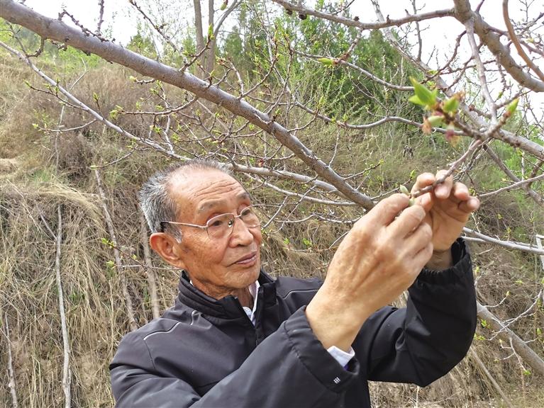 誓把荒山變青山 蔡仁智三十八載播綠守林長洼山