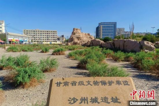 圖為沙州郡城遺址公園古遺址。　王斌銀 攝
