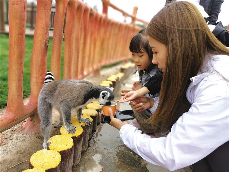  開園首日 蘭州野生動物園迎來近三千游客