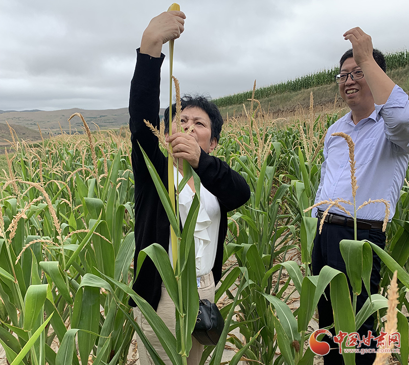 甘肅一位農(nóng)氣專家的“人工增雨圖”