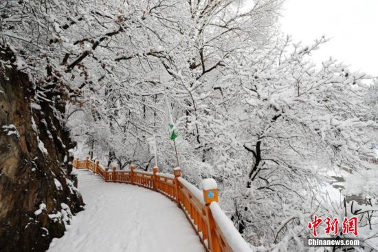 圖為上山的石階被雪覆蓋。張?zhí)鞂?攝