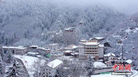 圖為籠罩在雪下的世界。吳永 攝