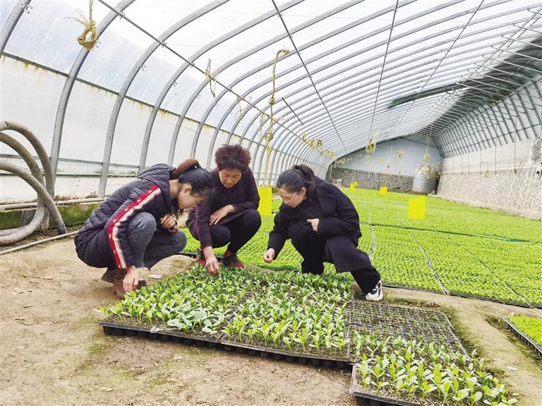 不負(fù)春光忙春耕 皋蘭縣今年計劃完成農(nóng)作物總播種面積26萬畝