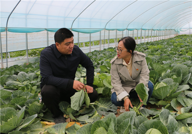 潘蕙蘭（右一）在甘肅隴之味生態(tài)農業(yè)科技有限公司走訪調研了解惠農政策落實情況。.jpg