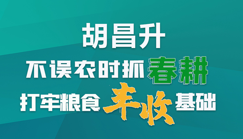 圖解|胡昌升：不誤農(nóng)時抓春耕打牢糧食豐收基礎(chǔ)