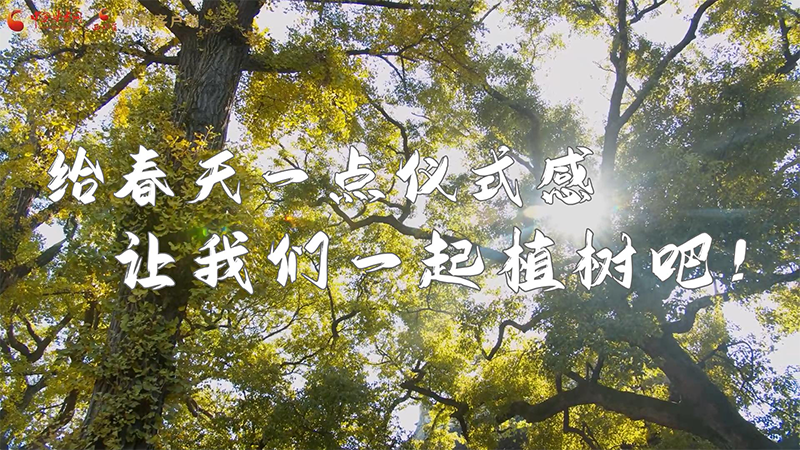 短視頻|給春天一點儀式感，讓我們一起植樹吧！