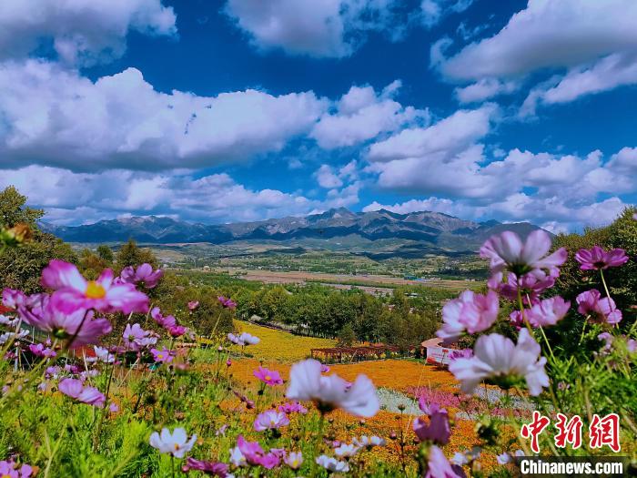 圖為盛夏時(shí)節(jié)的油嘴灣“花?！薄！∈茉L者供圖