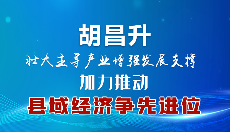 胡昌升：壯大主導(dǎo)產(chǎn)業(yè)增強發(fā)展支撐 加力推動縣域經(jīng)濟爭先進位