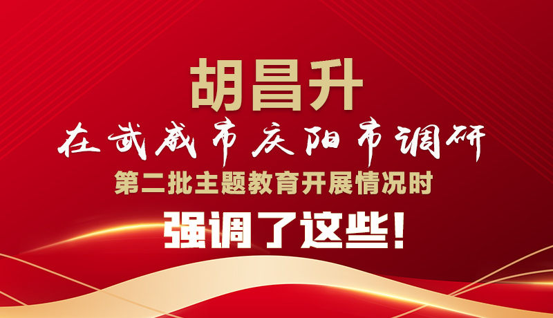 圖解|胡昌升在武威市慶陽市調研第二批主題教育開展情況時強調了這些！