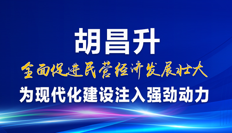 圖解|胡昌升：全面促進民營經(jīng)濟發(fā)展壯大 為現(xiàn)代化建設注入強勁動力