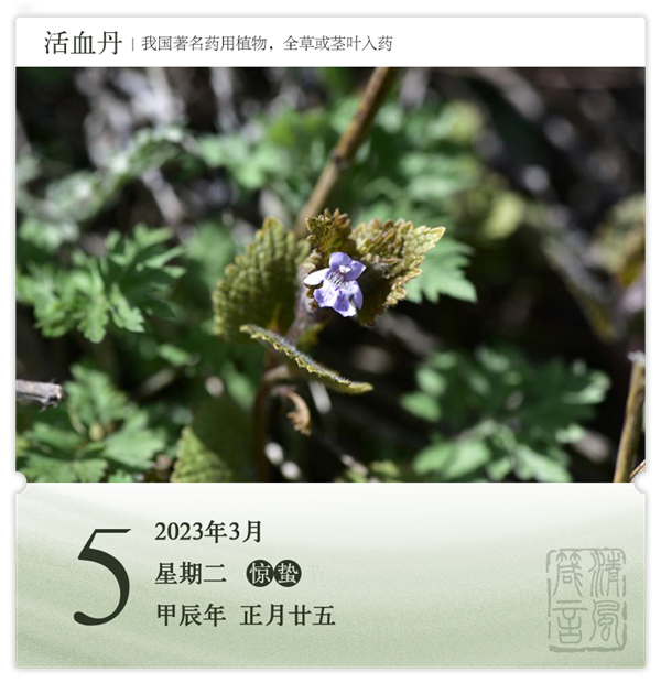 箴歷日歷3-5.png