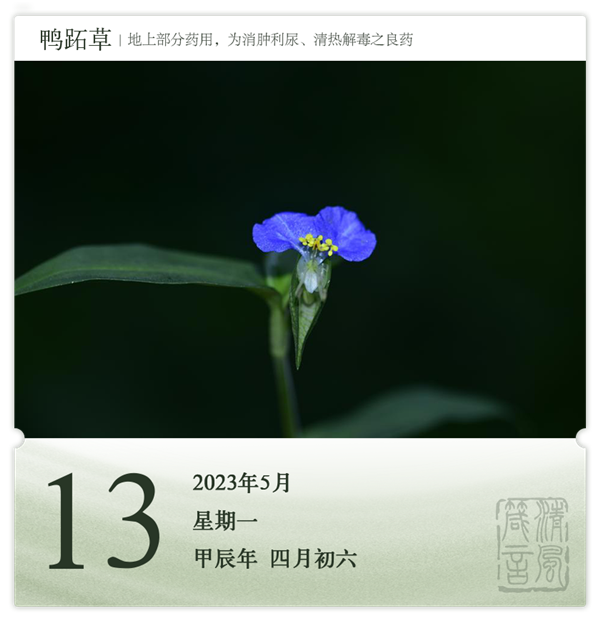 箴歷日歷5-13.png