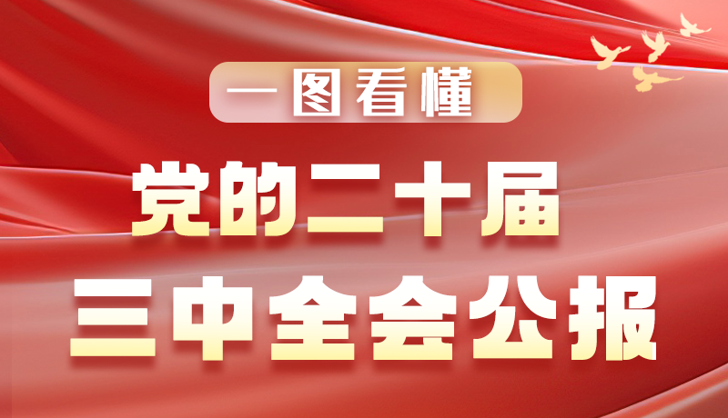 一圖看懂黨的二十屆三中全會公報(bào)