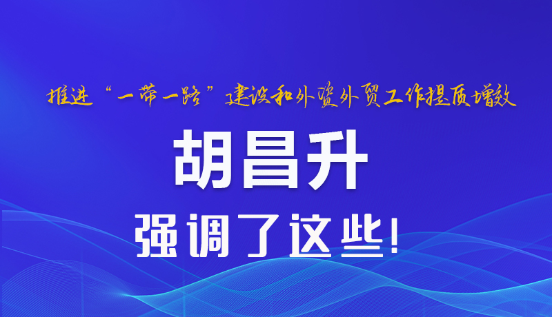 圖解|推進(jìn)“一帶一路”建設(shè)和外資外貿(mào)工作提質(zhì)增效 胡昌升強調(diào)了這些 