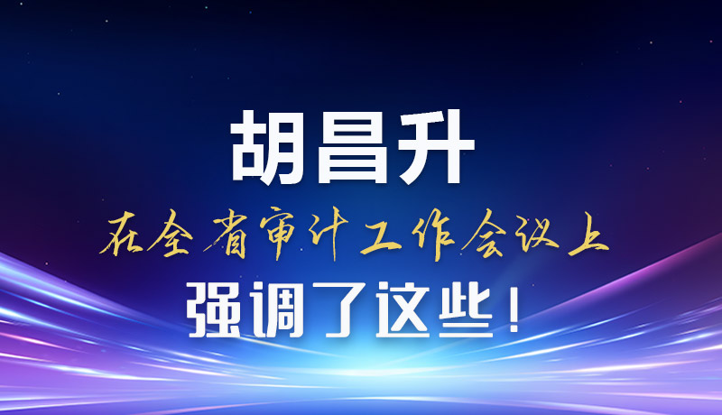 圖解|胡昌升在全省審計工作會議上強調(diào)了這些！