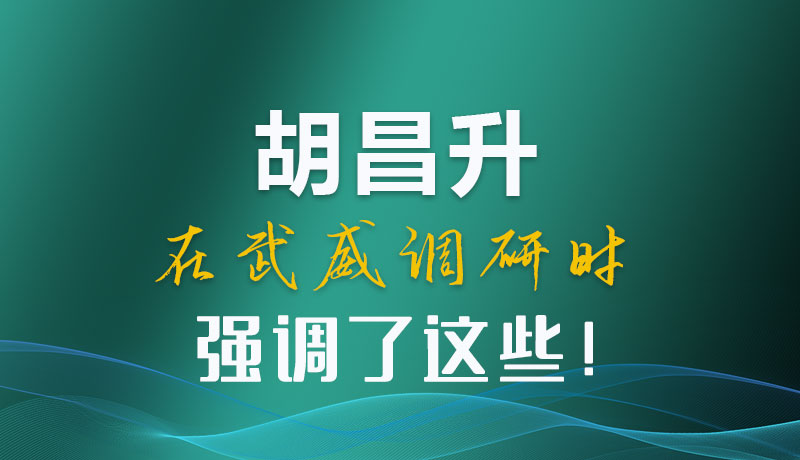 圖解|胡昌升在武威調(diào)研時(shí)強(qiáng)調(diào)了這些！