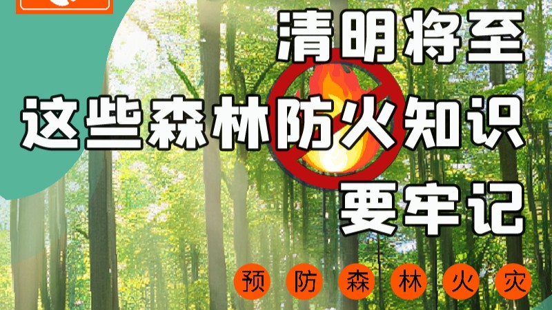 【甘快看】圖解|緊繃“安全弦”！清明，這些森林防火知識要牢記