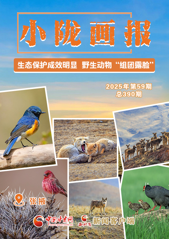 【小隴畫(huà)報(bào)·390期】張掖：生態(tài)保護(hù)成效明顯 野生動(dòng)物“組團(tuán)露臉”