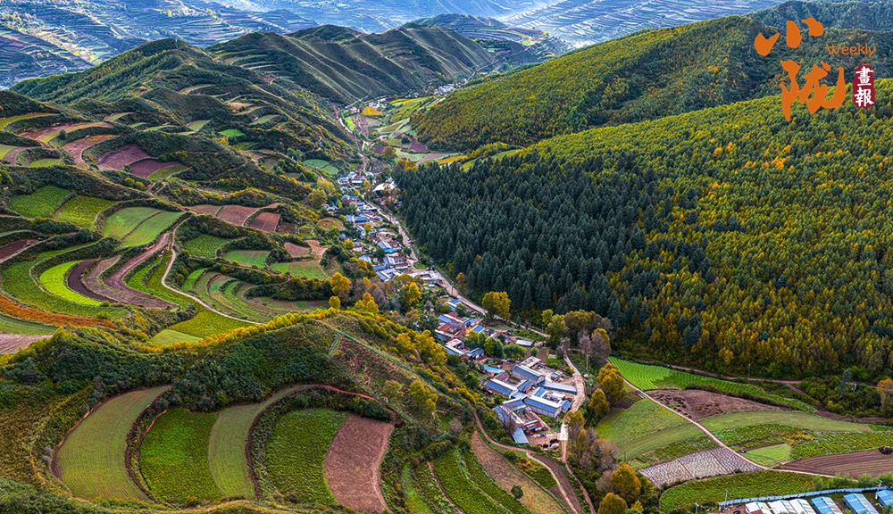 初冬時節(jié) 臨潭最后一波秋色驚艷誘人