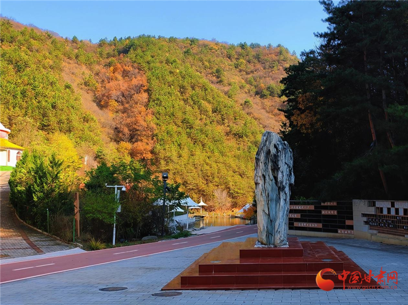 隴原山鄉(xiāng)新畫卷|華亭：一覽米家溝的“風(fēng)華雪月”