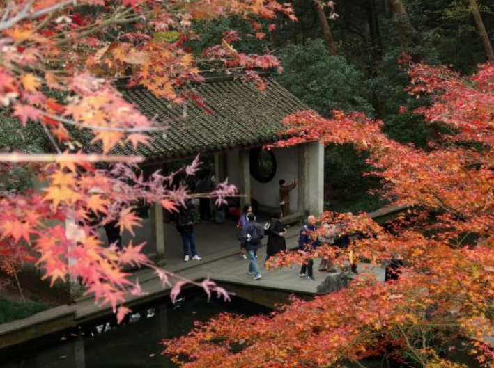 杭州：紅楓層林盡染 引游客競相打卡